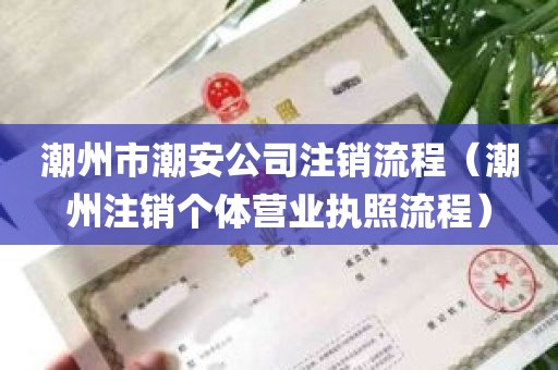 潮州市潮安公司注销流程（潮州注销个体营业执照流程）