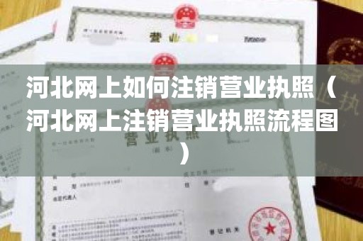 河北网上如何注销营业执照（河北网上注销营业执照流程图）