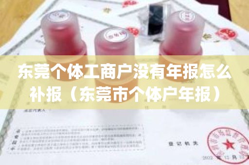 东莞个体工商户没有年报怎么补报(东莞市个体户年报)