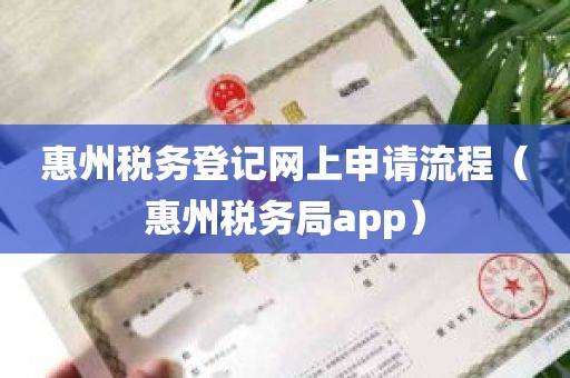 惠州税务登记网上申请流程（惠州税务局app）
