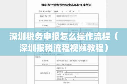 深圳税务申报怎么操作流程(深圳报税流程视频教程)