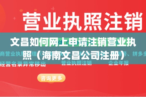 文昌如何网上申请注销营业执照（海南文昌公司注册）
