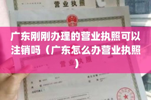 广东刚刚办理的营业执照可以注销吗（广东怎么办营业执照）