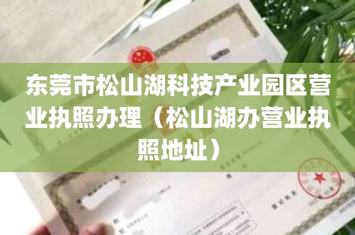 东莞市松山湖科技产业园区营业执照办理（松山湖办营业执照地址）