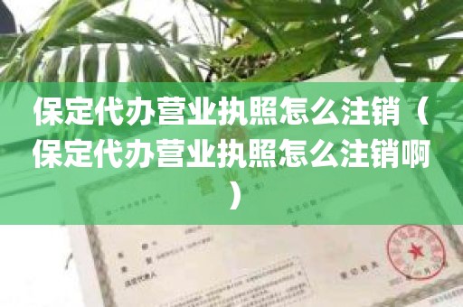 保定代办营业执照怎么注销（保定代办营业执照怎么注销啊）