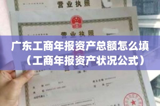 广东工商年报资产总额怎么填（工商年报资产状况公式）