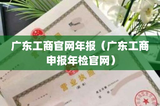 广东工商官网年报（广东工商申报年检官网）