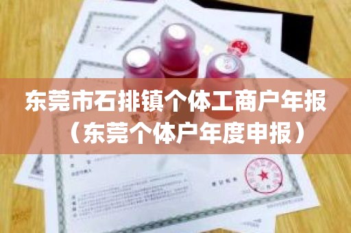 东莞市石排镇个体工商户年报（东莞个体户年度申报）