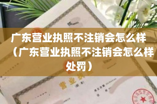 广东营业执照不注销会怎么样（广东营业执照不注销会怎么样处罚）