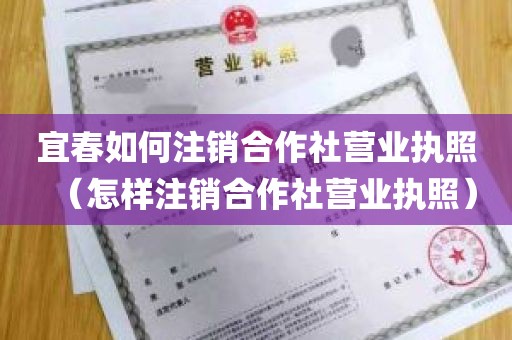 宜春如何注销合作社营业执照（怎样注销合作社营业执照）