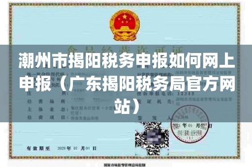 潮州市揭阳税务申报如何网上申报（广东揭阳税务局官方网站）