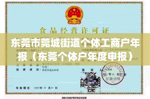 东莞市莞城街道个体工商户年报（东莞个体户年度申报）