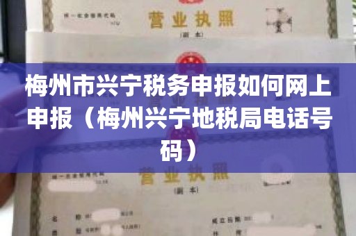 梅州市兴宁税务申报如何网上申报（梅州兴宁地税局电话号码）