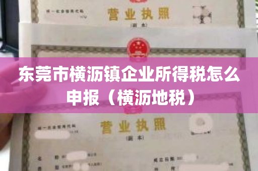 东莞市横沥镇企业所得税怎么申报（横沥地税）
