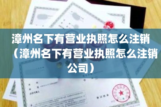 漳州名下有营业执照怎么注销（漳州名下有营业执照怎么注销公司）