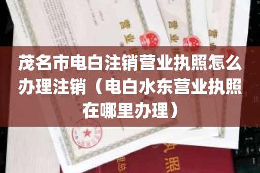 茂名市电白注销营业执照怎么办理注销（电白水东营业执照在哪里办理）
