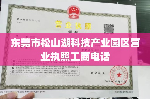 东莞市松山湖科技产业园区营业执照工商电话