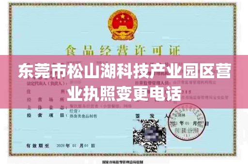 东莞市松山湖科技产业园区营业执照变更电话