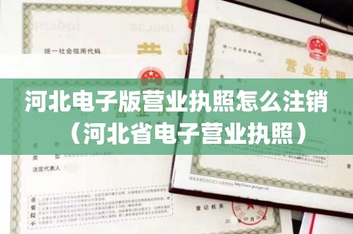 河北电子版营业执照怎么注销（河北省电子营业执照）