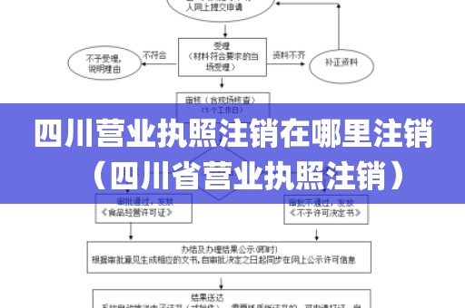 四川营业执照注销在哪里注销（四川省营业执照注销）