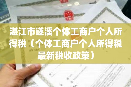 湛江市遂溪个体工商户个人所得税（个体工商户个人所得税最新税收政策）