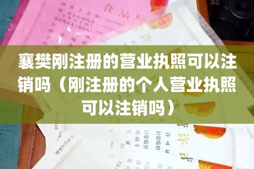 襄樊刚注册的营业执照可以注销吗（刚注册的个人营业执照可以注销吗）
