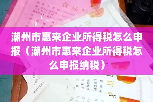 潮州市惠来企业所得税怎么申报（潮州市惠来企业所得税怎么申报纳税）