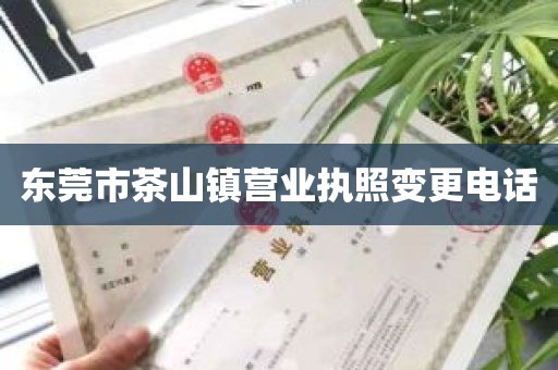 东莞市茶山镇营业执照变更电话