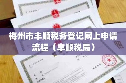 梅州市丰顺税务登记网上申请流程（丰顺税局）
