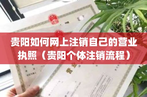 贵阳如何网上注销自己的营业执照（贵阳个体注销流程）