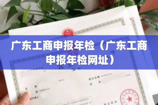 广东工商申报年检（广东工商申报年检网址）