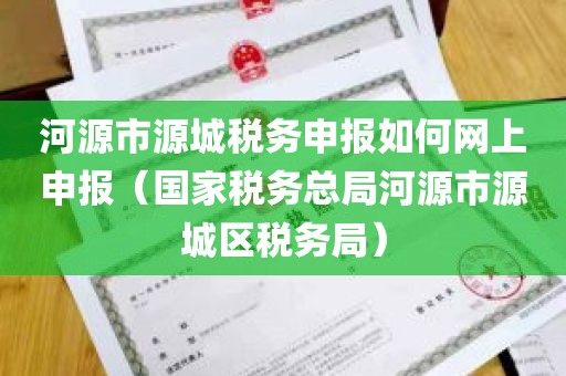 河源市源城税务申报如何网上申报（国家税务总局河源市源城区税务局）
