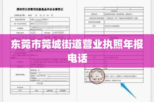 东莞市莞城街道营业执照年报电话