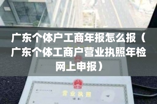 广东个体户工商年报怎么报(广东个体工商户营业执照年检网上申报)