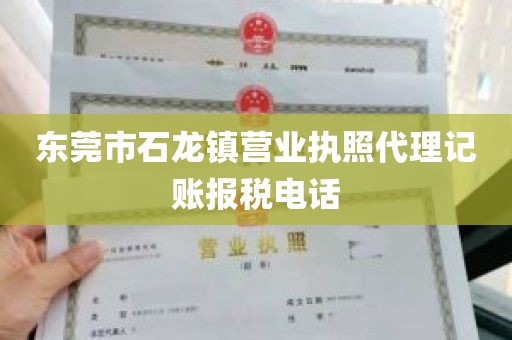 东莞市石龙镇营业执照代理记账报税电话