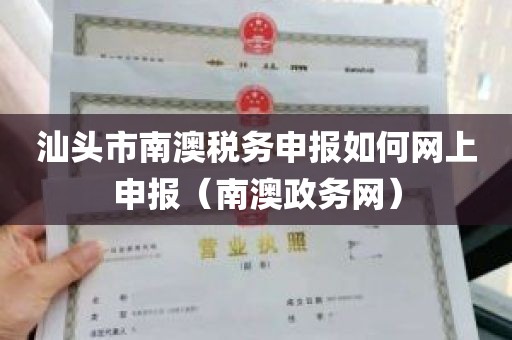 汕头市南澳税务申报如何网上申报（南澳政务网）