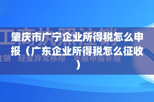 肇庆市广宁企业所得税怎么申报（广东企业所得税怎么征收）