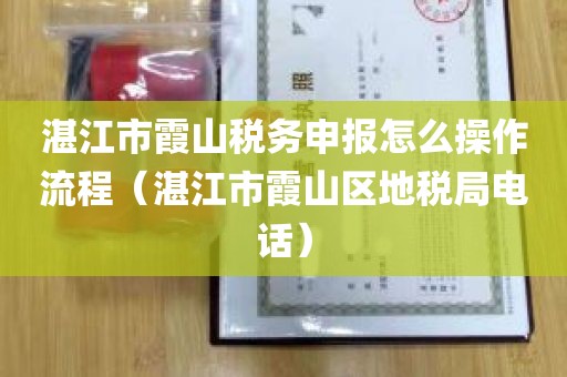 湛江市霞山税务申报怎么操作流程（湛江市霞山区地税局电话）