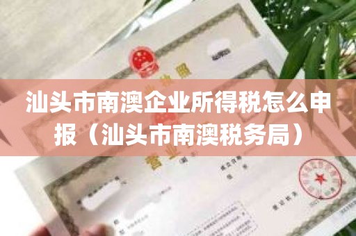 汕头市南澳企业所得税怎么申报（汕头市南澳税务局）