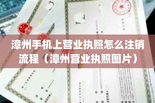 漳州手机上营业执照怎么注销流程（漳州营业执照图片）
