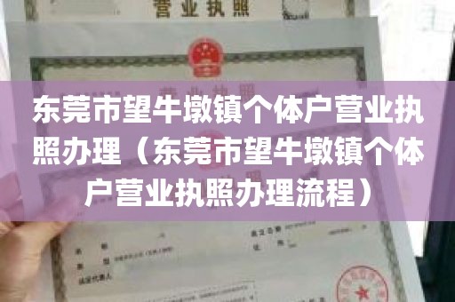东莞市望牛墩镇个体户营业执照办理（东莞市望牛墩镇个体户营业执照办理流程）