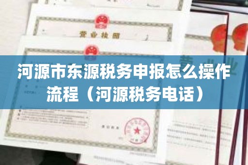 河源市东源税务申报怎么操作流程（河源税务电话）