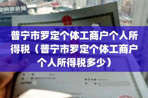 普宁市罗定个体工商户个人所得税(普宁市罗定个体工商户个人所得税多少)