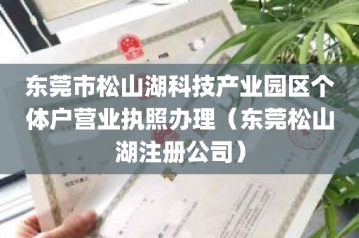 东莞市松山湖科技产业园区个体户营业执照办理（东莞松山湖注册公司）
