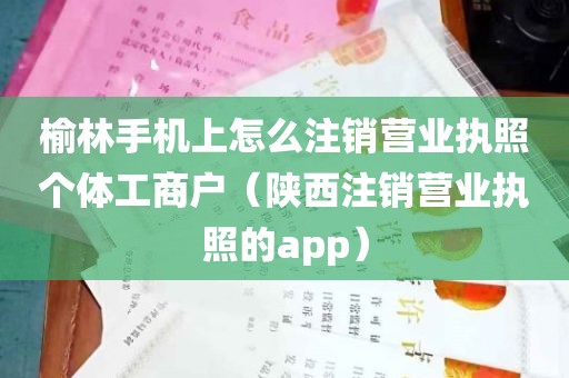 榆林手机上怎么注销营业执照个体工商户（陕西注销营业执照的app）
