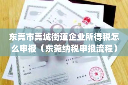 东莞市莞城街道企业所得税怎么申报（东莞纳税申报流程）
