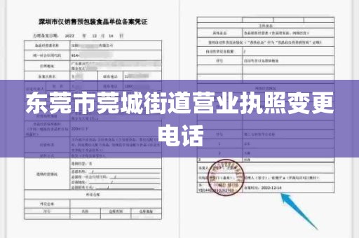 东莞市莞城街道营业执照变更电话