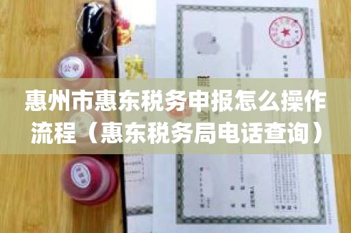 惠州市惠东税务申报怎么操作流程（惠东税务局电话查询）