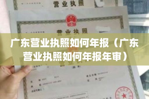 广东营业执照如何年报（广东营业执照如何年报年审）