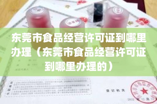 东莞市食品经营许可证到哪里办理（东莞市食品经营许可证到哪里办理的）